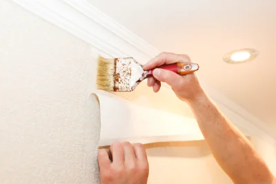 Pose de papier peint à Bustince-Iriberry — revêtements muraux et toiles de verre